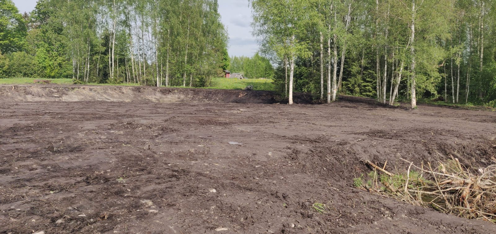 Maastiku planeerimine ja haljastus
